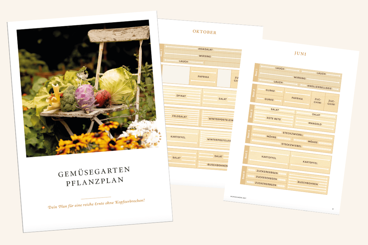 Freebie Landingpage Pflanzplan-min Pflanzplan