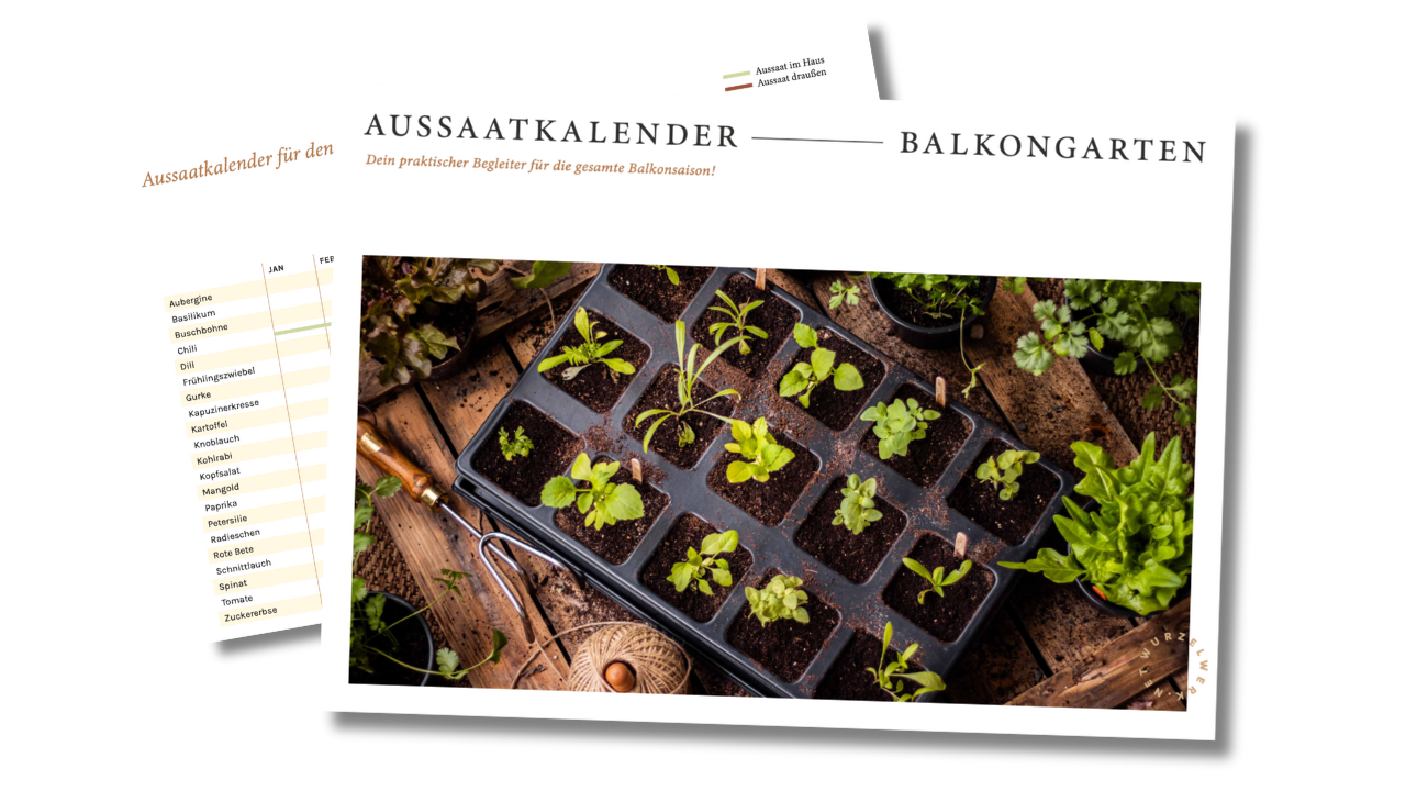 Aussaatkalender Freebie Landingpage BGS 2024(3)