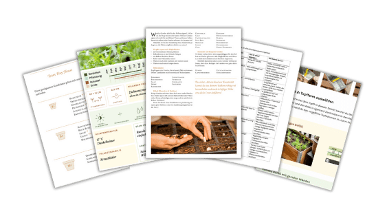 Anleitungen... Landingpage BGS(2)
