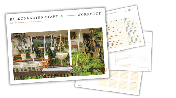 Workbook